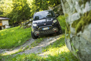 Fiat panda Cross nel bosco