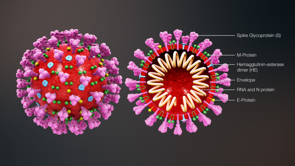 Coronavirus e inquinamento RNA