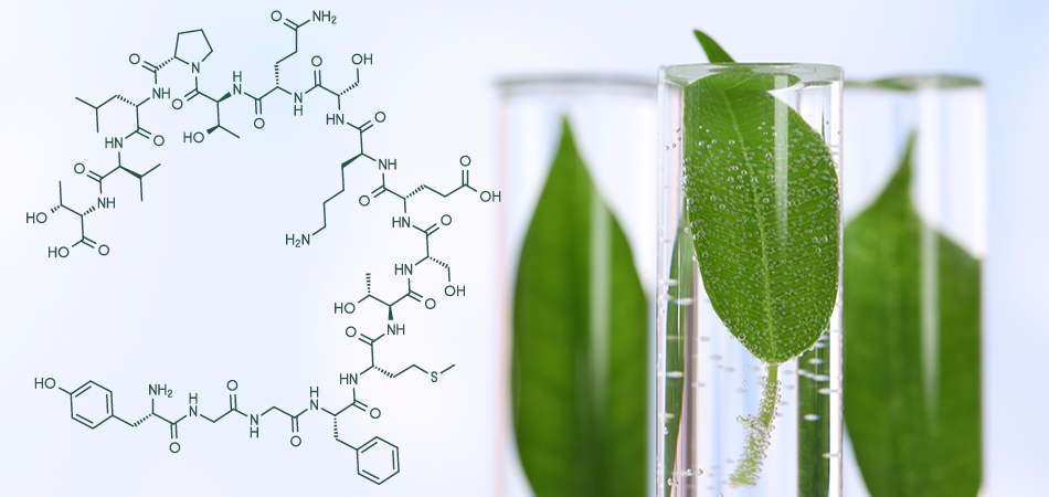 Coronavirus e futuro chimica verde