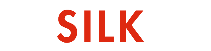 Logo Silk EV