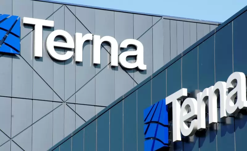 Terna logo