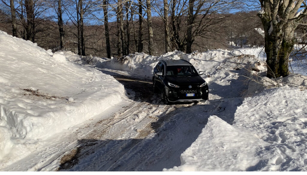 Suzuki Across Plug-in Hybrid guida neve