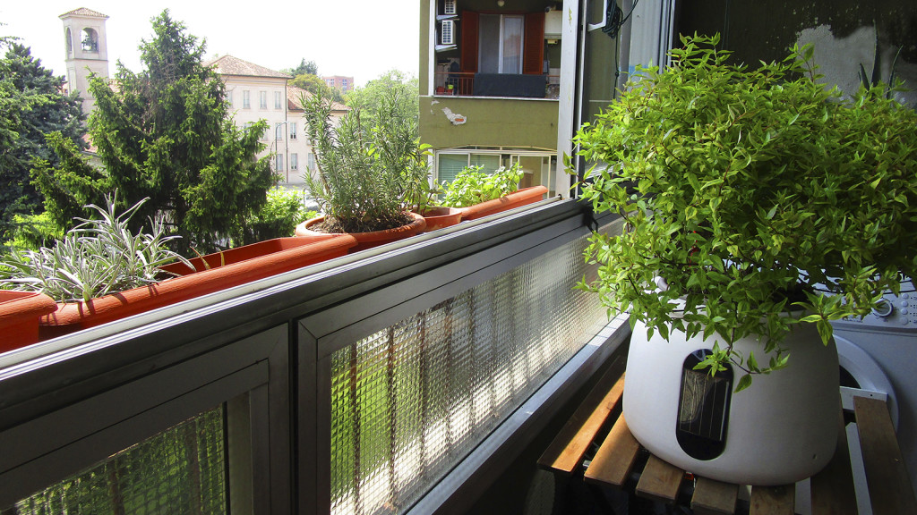 Wiseair Arianna balcone